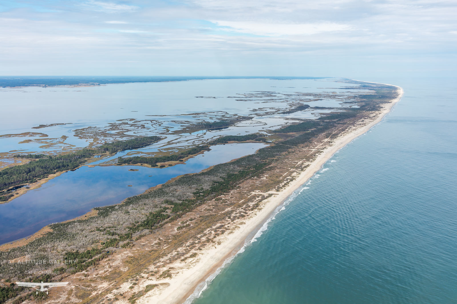 Assateague Island Surf Fishing