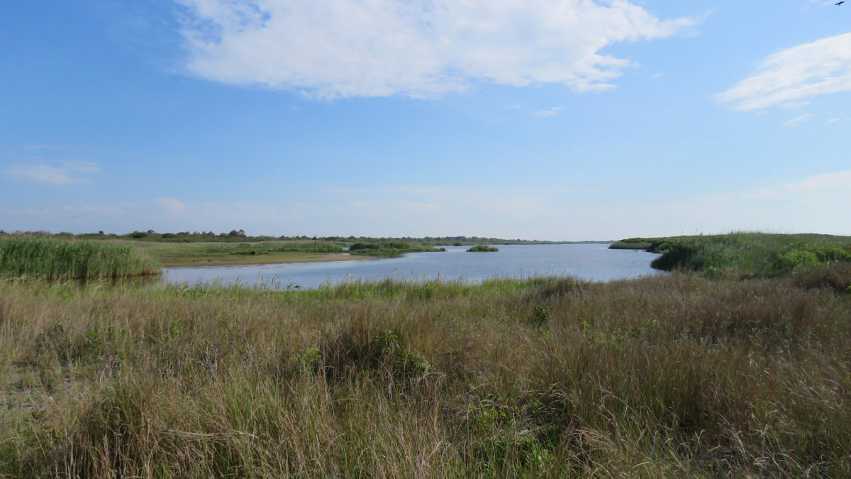 Hog Island Explore Our Seaside